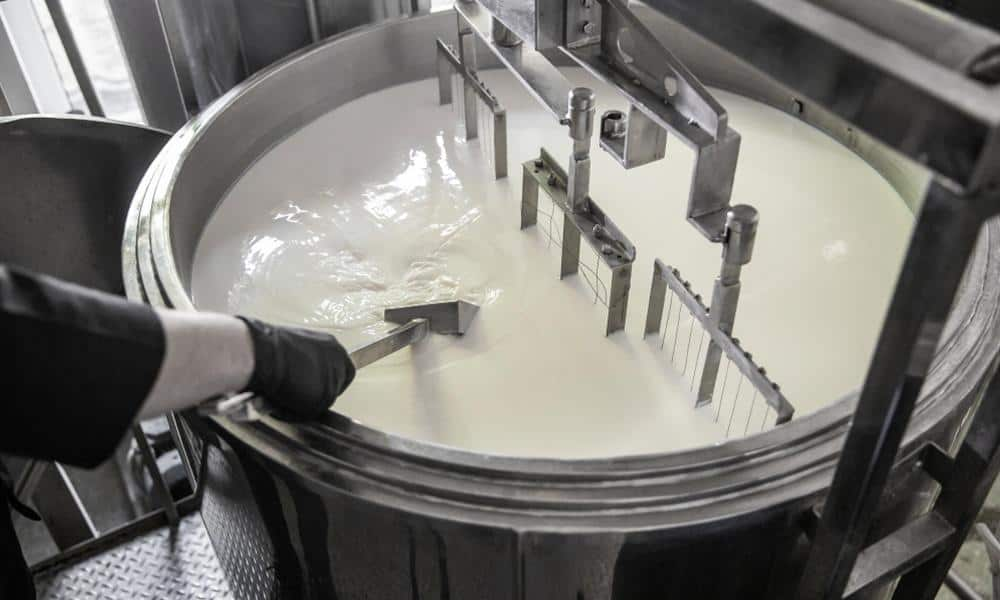 Stainless steel dairy mixing tank for milk processing and dairy farm equipment - NK Dairy Equipments