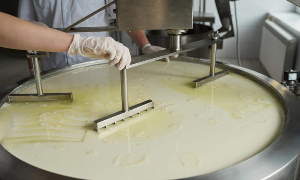 Butter Making Plant Churning Vat with Rotating Paddles