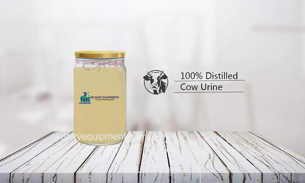 100% distilled cow urine in glass jar for Ayurvedic and health applications