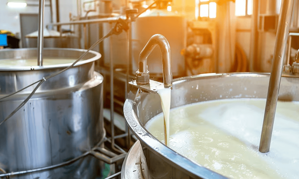 Fresh milk being collected in stainless steel dairy tank at NK Dairy Equipments