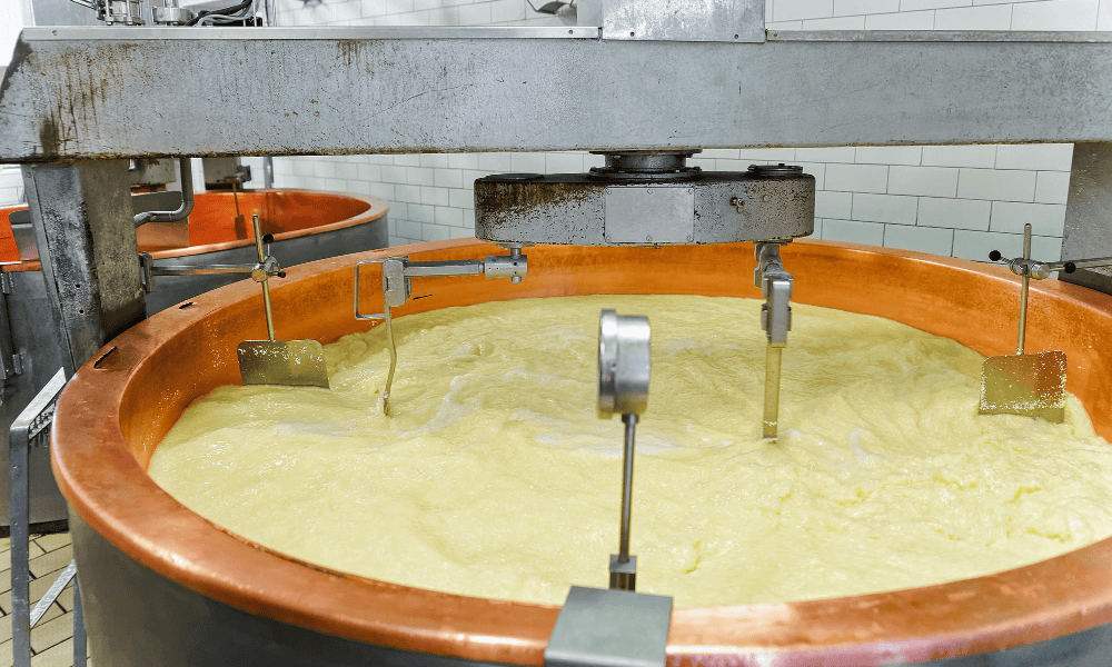 Ghee Boiler Machine with Motorized Agitators for Dairy Plants - NK Dairy Equipments