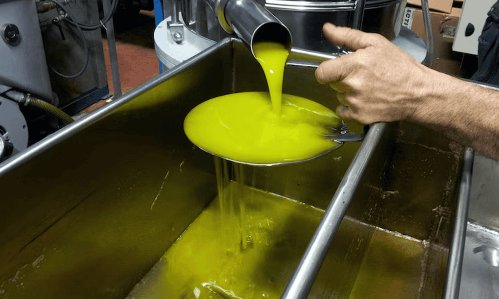 Pure Golden Ghee Extraction and Processing in Stainless Steel Plant by NK Dairy