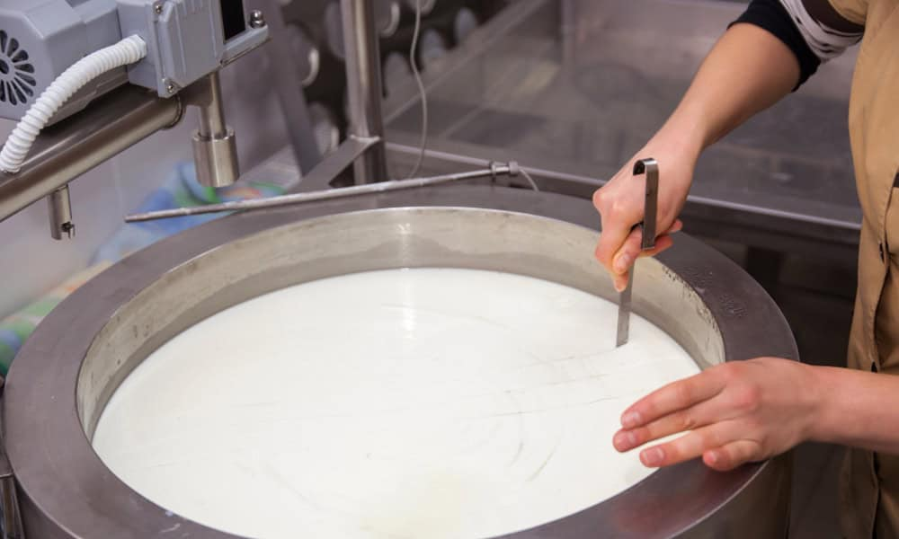 Dairy technician inspecting milk chilling process - NK Dairy Equipments