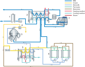 Milk processing equipment schematic diagram for dairy product manufacturing - Dairy equipment system with milk, cream, skimmilk, and heating mediums