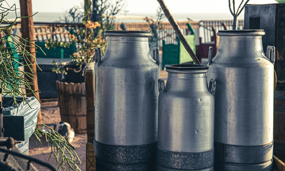 Stainless steel milk cans used for dairy farming and milk transportation - NK Dairy Equipments