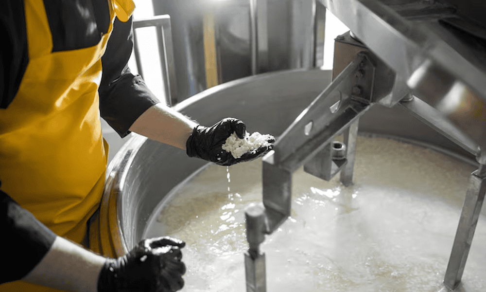 Milk Receiving Filter Low and High Pressure Inspection - NK Dairy Equipments