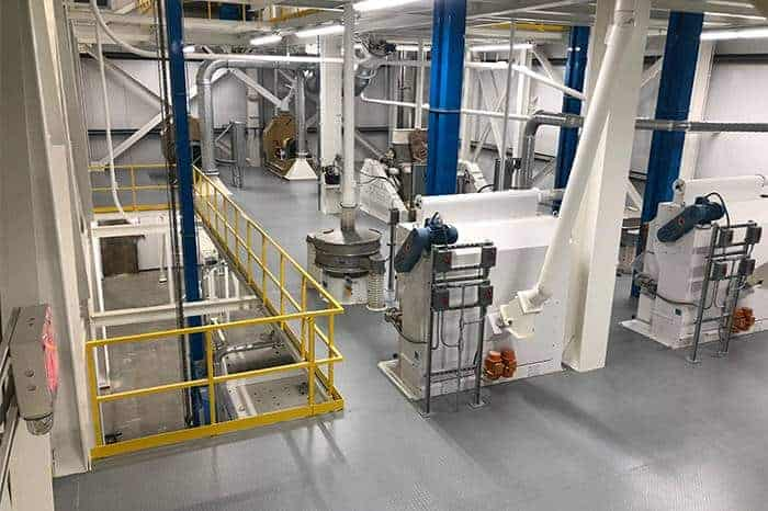 Oat Milk Processing Machinery Floor