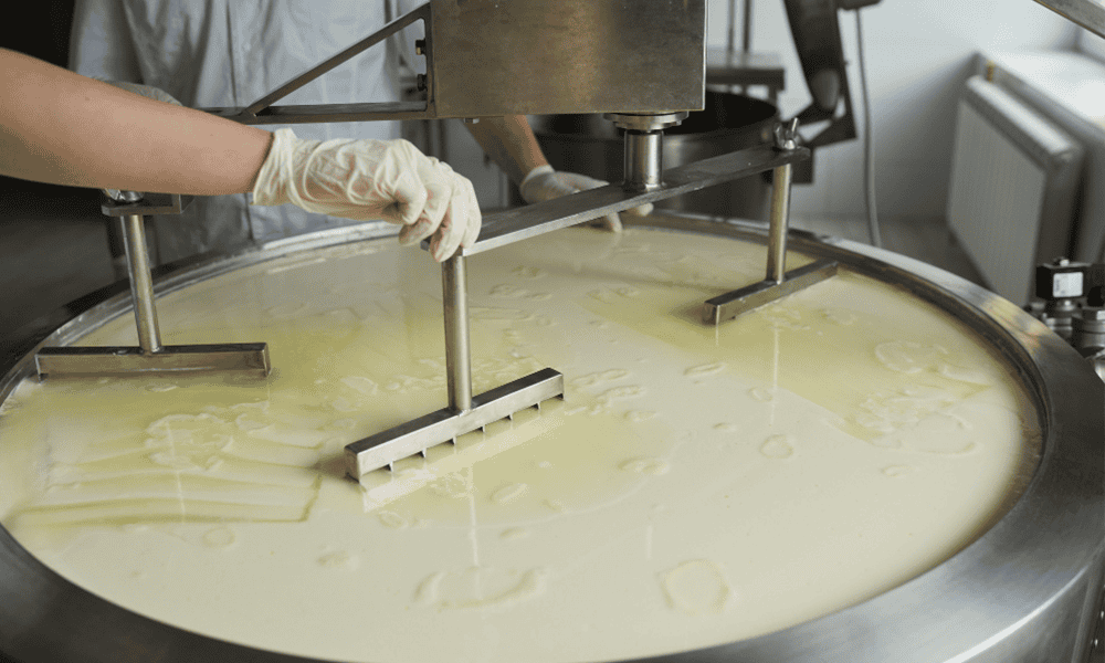 Cream processing equipment and paneer curd vat for dairy industry at NK Dairy Equipments