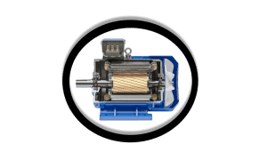 High-Performance Electric Motor